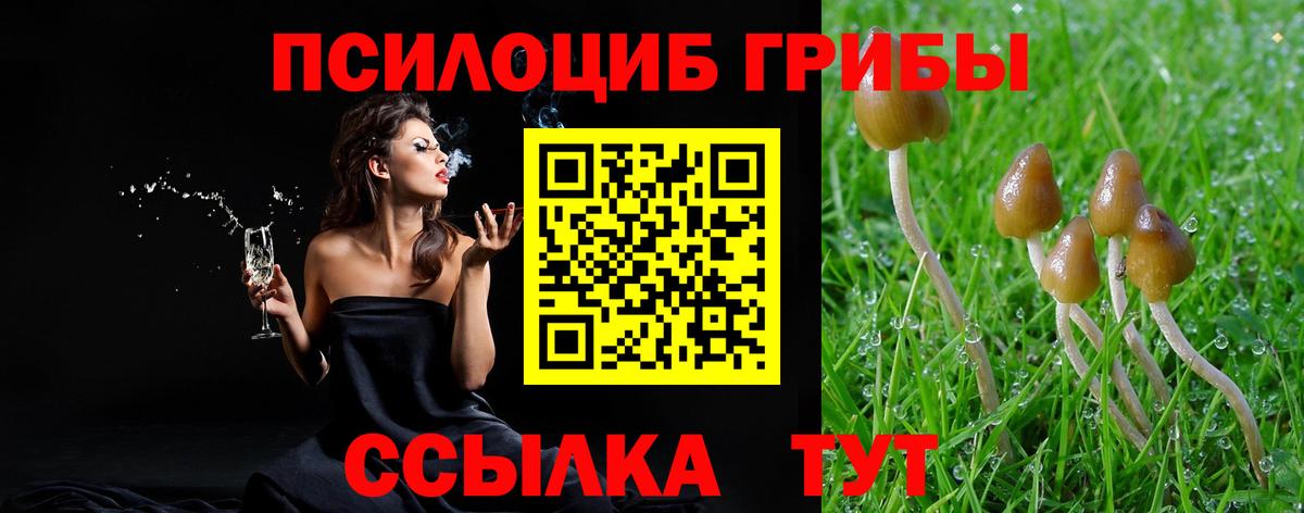 где продают наркотики  Галлюциногенные грибы Psilocybine cubensis  Вход с VPN  Троицк  Галлюциногенные грибы GOLDEN TEACHER 